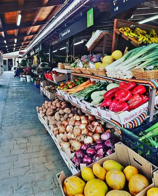 Mercadillo de Tegueste