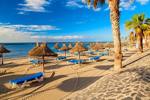Playa del Camison