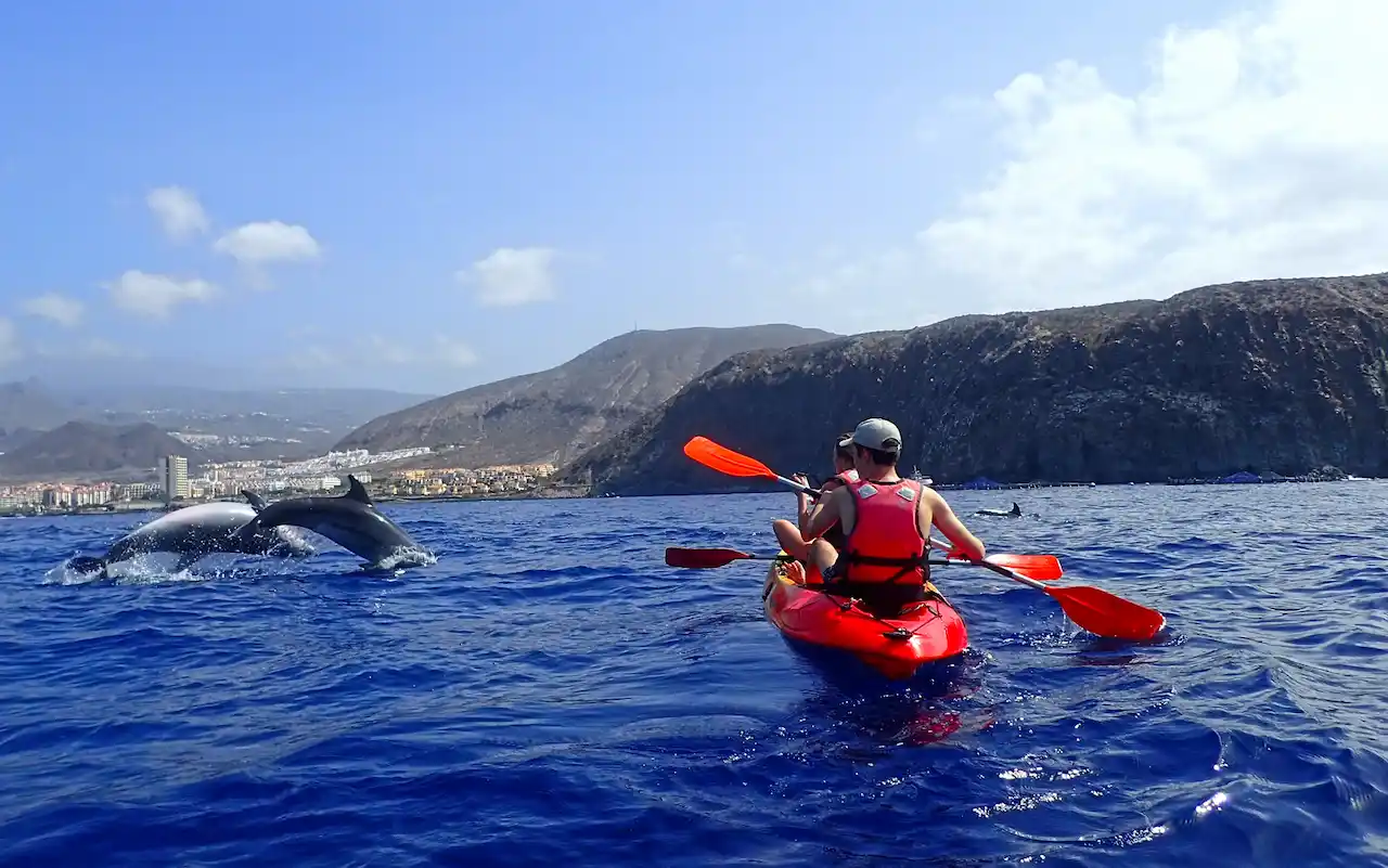 Kayak El Médano