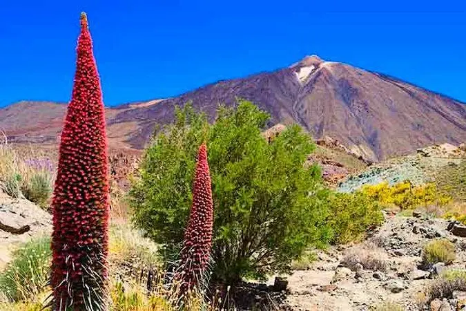 Parco Nazionale del Teide